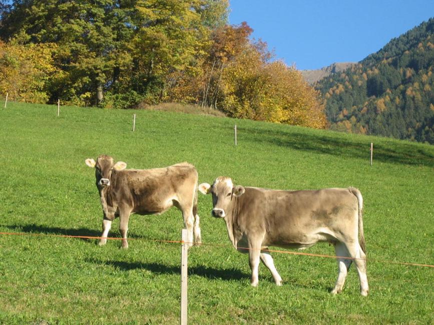 Mantingerhof Apartments Funes  Buitenkant foto